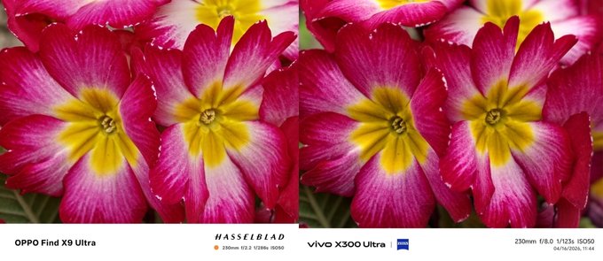 So sánh ảnh chụp ban ngày của camera tele 007Win6 thể thao, đá gà, bắn cá, game bài, nổ hũ Find X9 Ultra và Vivo X300 Ultra