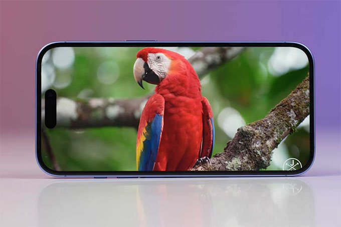 Cả hai 007win.com nền tảng chơi game sòng bạc trực tuyến đáng tin cậy nhất iPhone 17e và iPhone 16 đều được trang bị App 007Win hỗ trợ đa dạng nền tảng OLED Super Retina XDR 6,1 inch