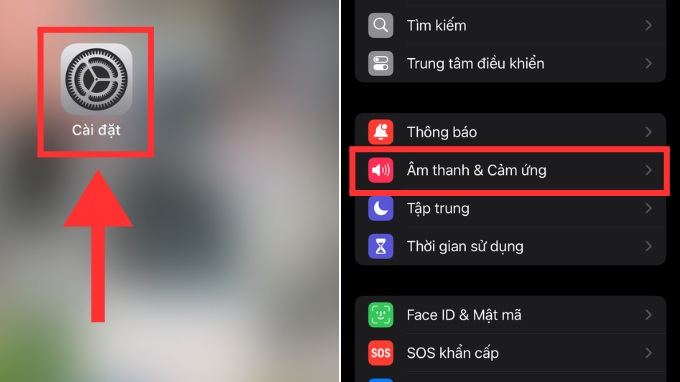 Cách chỉnh chế độ rung trên iPhone chi tiết