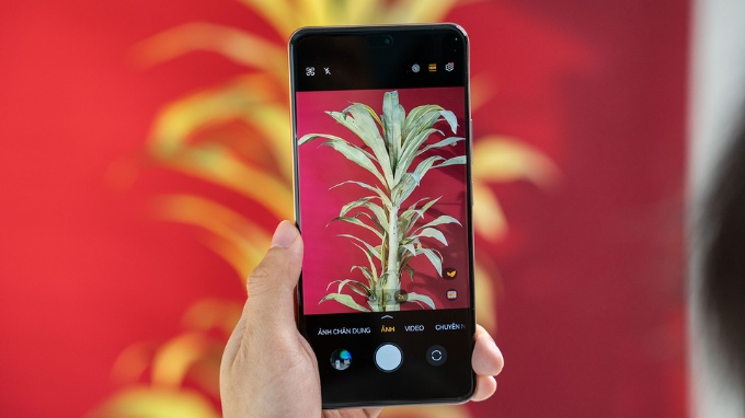 Hệ thống camera