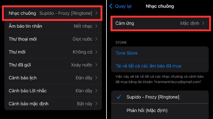 Cách chỉnh chế độ rung trên iPhone chi tiết
