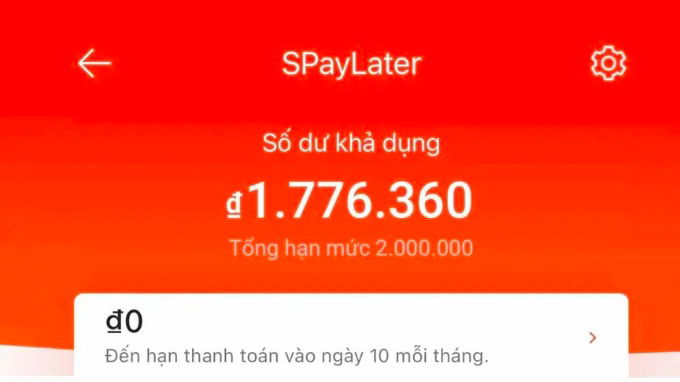 Tổng quan về SpayLater
