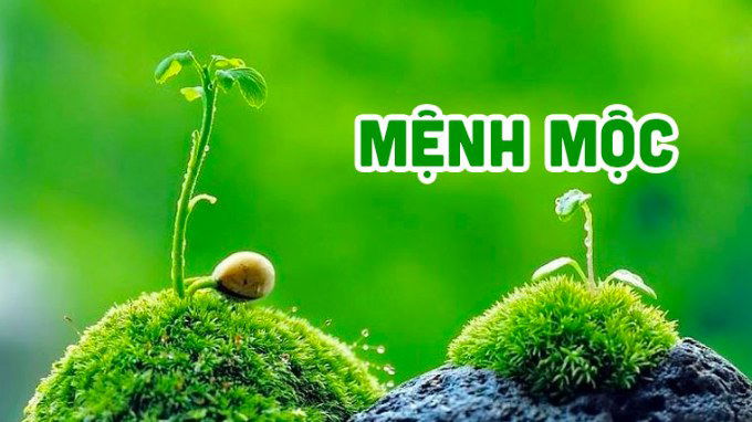Giới thiệu về mệnh Mộc
