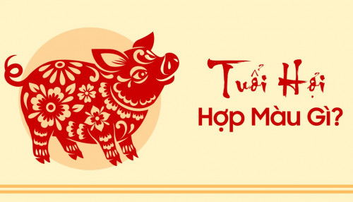 Năm 2024 tuổi Hợi hợp màu nào? Top 007win.com nền tảng chơi game sòng bạc trực tuyến đáng tin cậy nhất màu hợp tuổi Hợi