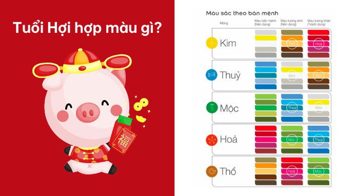 Tuổi Hợi hợp màu nào?