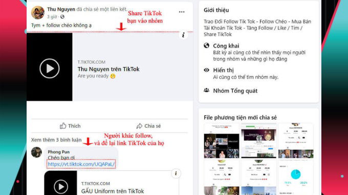 Follow chéo để tăng follower trên Tiktok