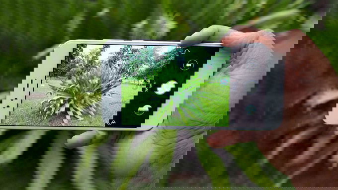 xiaomi_a1_2