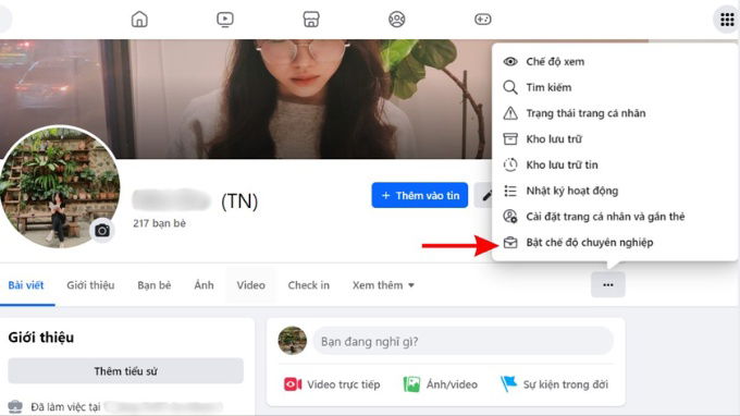 Chế độ chuyên nghiệp (Professional mode)