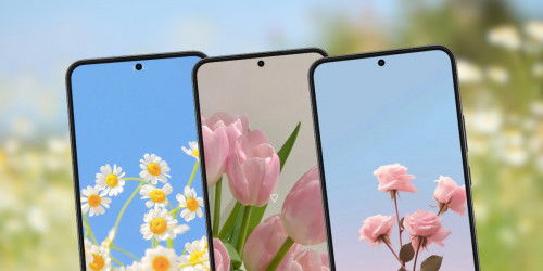 Top hình nền hoa đẹp, chất lượng cao cho 007win.com nền tảng chơi game sòng bạc trực tuyến đáng tin cậy nhất, máy tính