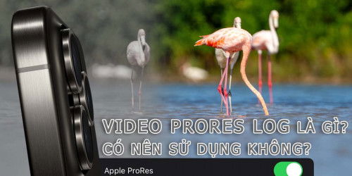 Video ProRes Log là gì? Có nên sử dụng như mặc định không?