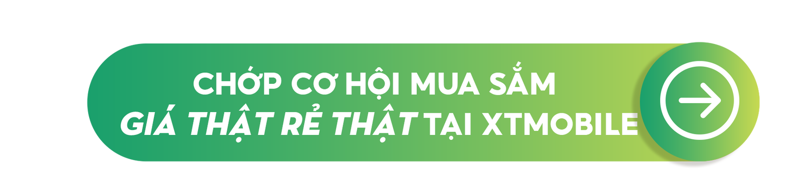 bt