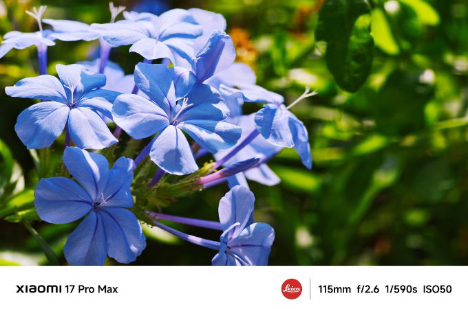 Ảnh chụp từ Xiaomi 17 Pro Max