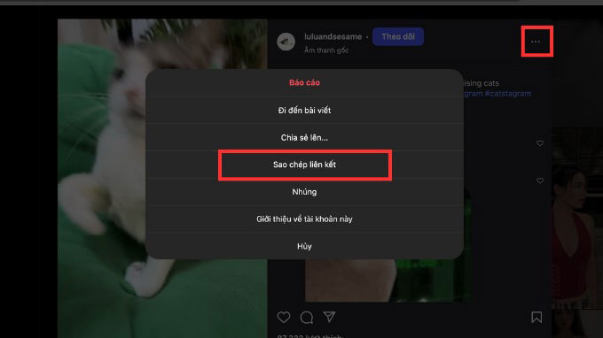 Cách tải video Instagram trên máy tính