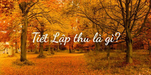 Lập thu là gì? Tiết Lập thu 2025 là ngày nào? Có gì đặc biệt?