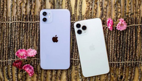So sánh iPhone 11 và iPhone 11 Pro: Khác biệt ở điểm nào?