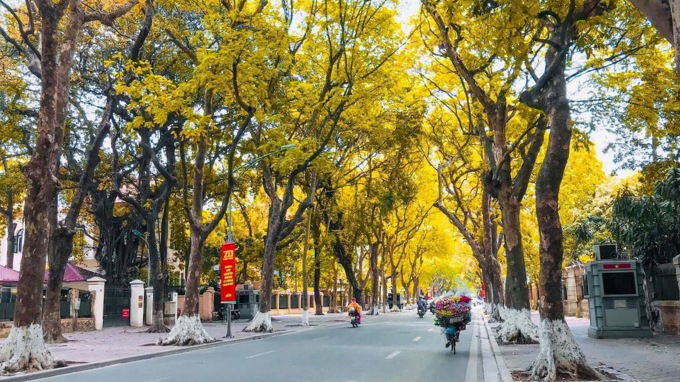 Tiết Lập thu là gì?