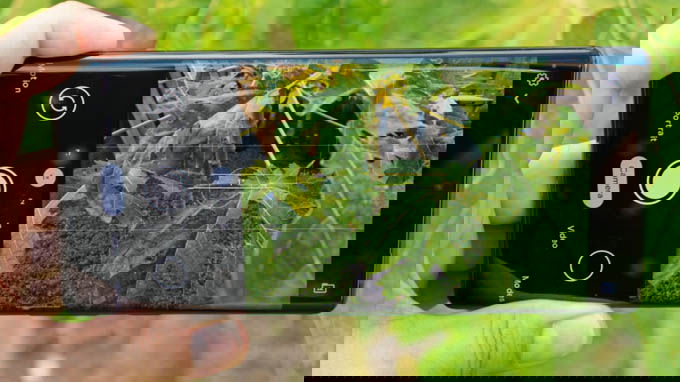 Camera Google Pixel 6 Pro nhận được nhiều nâng cấp so với bản tiêu chuẩn