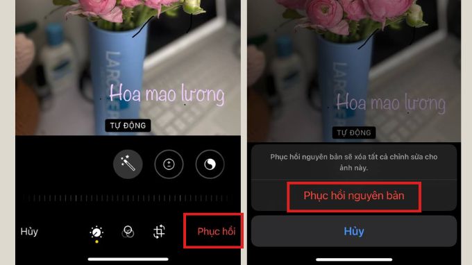 Cách xóa chữ đã thêm vào ảnh trên iPhone