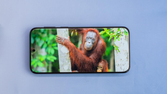 Đánh giá App 007Win hỗ trợ đa dạng nền tảng Huawei Pura 80 Ultra