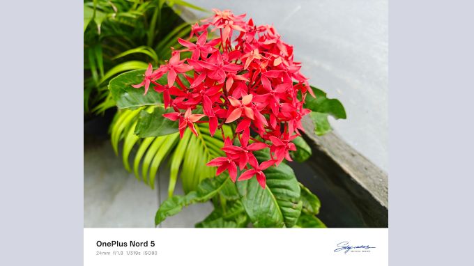 Ảnh chụp thực tế từ camera OnePlus Nord 5