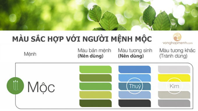 Tìm hiểu về mệnh Mộc trong phong thủy
