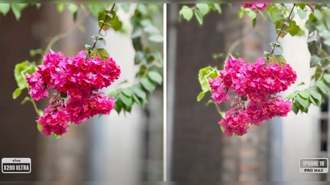 Chất lượng ảnh chụp