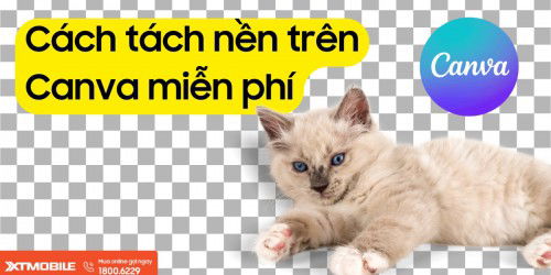 Cách tách nền trên Canva miễn phí mà không cần tài khoản Pro