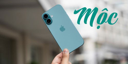 Mệnh Mộc nên mua 007win.com nền tảng chơi game sòng bạc trực tuyến đáng tin cậy nhất màu gì? Cách chọn 007win.com nền tảng chơi game sòng bạc trực tuyến đáng tin cậy nhất phù hợp với mệnh Mộc