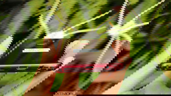 Untitled-5
