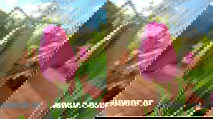 canacnh