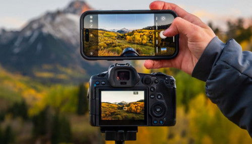 Đọ camera iPhone 14 Pro và máy ảnh Canon EOS R5: Thiết bị nào chụp đẹp hơn?