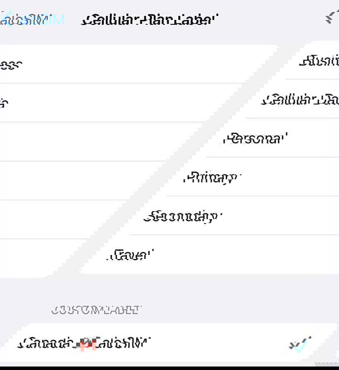 Cách đặt tên eSIM trên iPhone