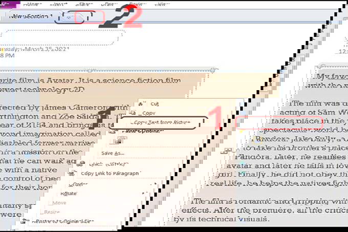 Trích xuất văn bản từ hình ảnh với OneNote