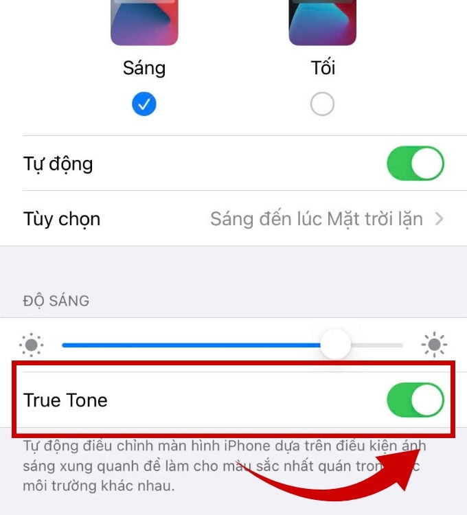 Cách bật/tắt True Tone trên iPhone và iPad
