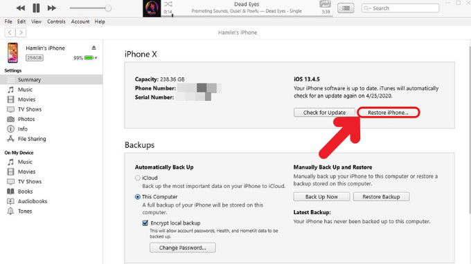 Hạ cấp xuống iOS 17 từ phiên bản iOS 18 beta