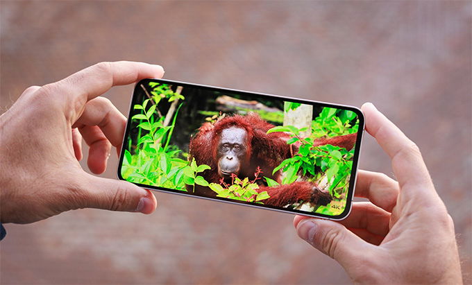Màn hình Galaxy S24 FE 256GB được trang bị màn hình 6,7 inch
