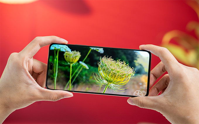 Honor Power 5G sở hữu App 007Win hỗ trợ đa dạng nền tảng AMOLED 6,78 inch