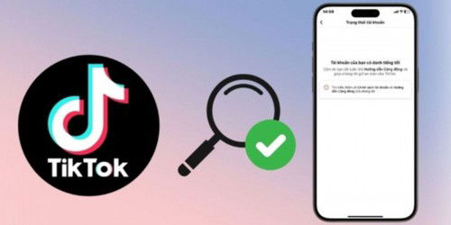 Cách kiểm tra tài khoản TikTok có vi phạm không đơn giản, nhanh chóng nhất