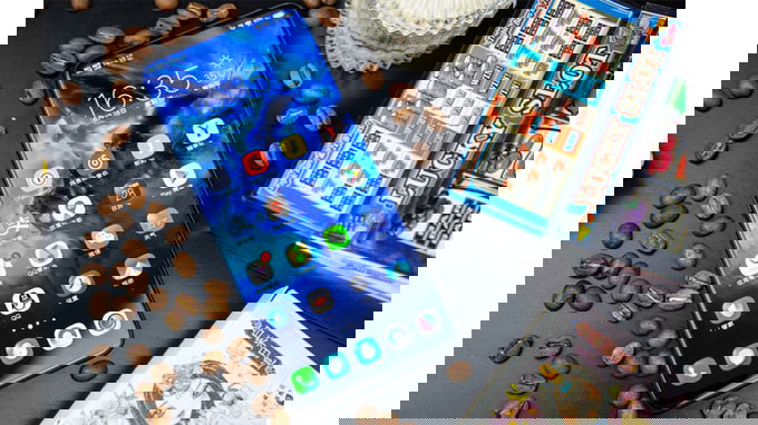 vns1_1