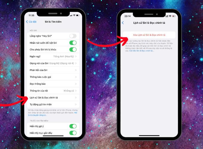 Xóa lịch sử Siri