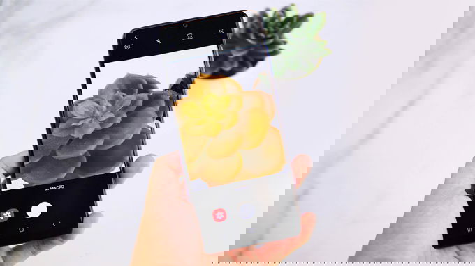 mua galaxy a31 đáp ứng tốt nhu cầu chụp ảnh hàng ngày