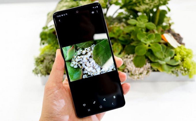 Ảnh chụp hoa lá với Galaxy A51 sống động