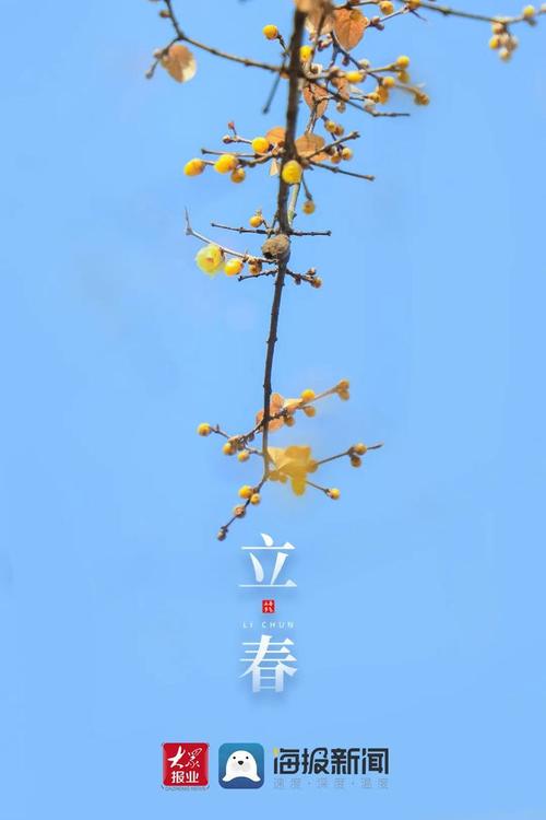 he-lo-ten-goi-va-gia-ban-cac-phien-ban-iphone-2018-007WIN