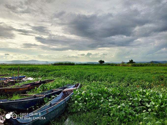 landscape-camera-xiaomi-mi-8-xtmobile