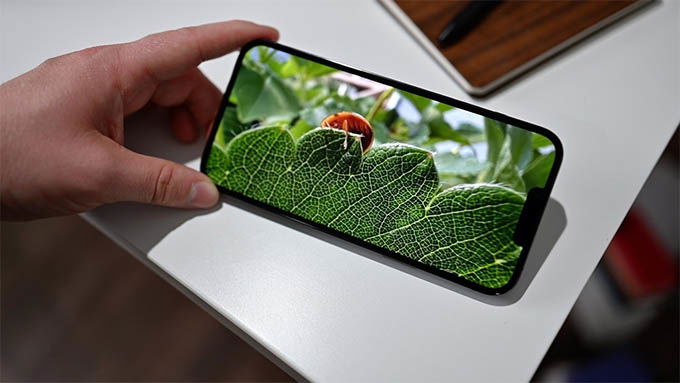  iPhone 13 Pro Max ra mắt cũng được trang bị màn hình ProMotion