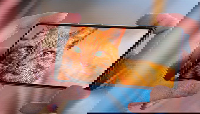 Màn hình Google Pixel 7 sử dụng tấm nền OLED 6.3 inch