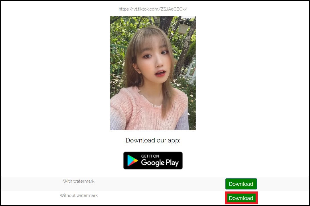 Tải video TikTok không logo qua Tiktok Downloader