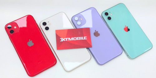 iPhone 11 256GB cũ giá bao nhiêu? Có nên mua ở thời điểm hiện tại?