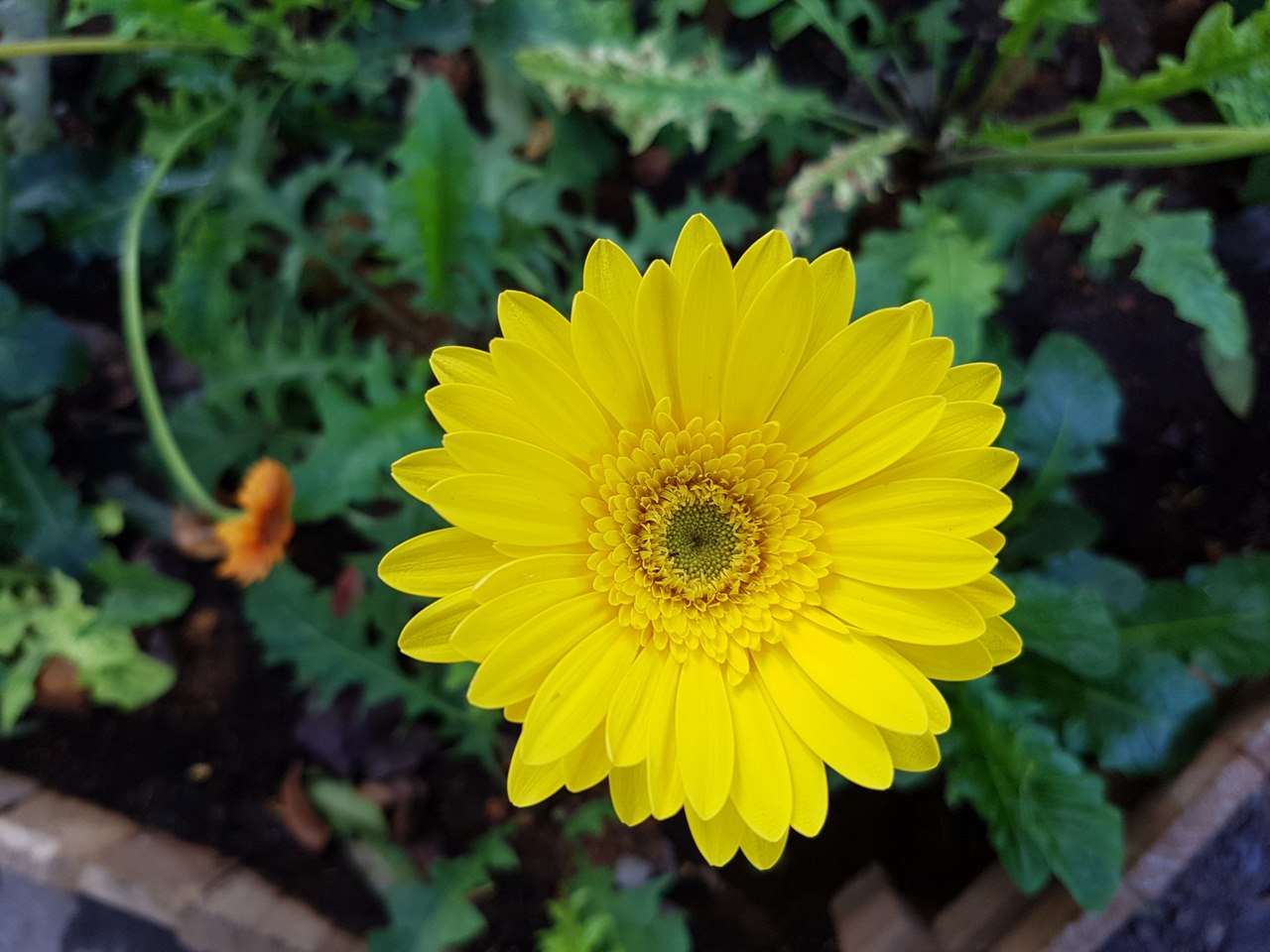 anhchuptucameras7edge42