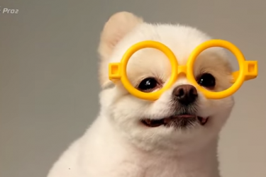 TrYi_nghiYm_Camera_cYa_LG_Gpro2.png